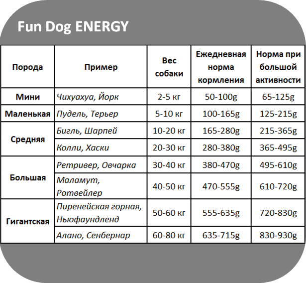 fun dog energy norma