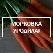 a60083f3d686ae11d76369ad0f35c40f.gif