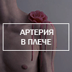 b89d6ee9ff570c57a1dd4b591287b937.gif