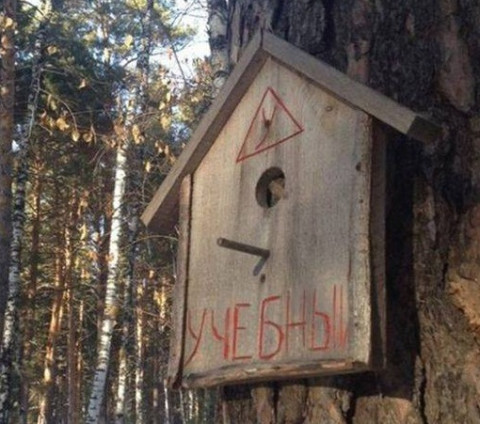Зображення
