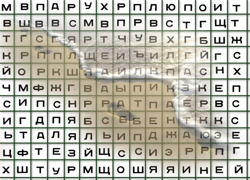 b66e01ccb9e7b3b6c72062643b24358d.jpg