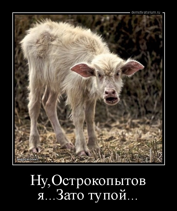 demotivatorium_ru_nuostrokopitov_jazato_tupoj.jpg