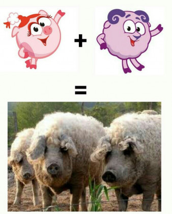 Зображення
