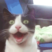 9f3555deeb72dad6a01da002e31d62cb.gif