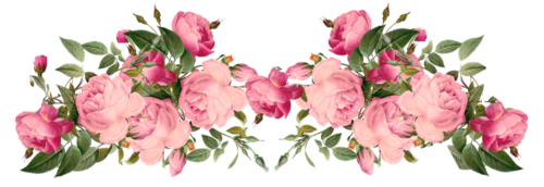 https://s8.hostingkartinok.com/uploads/images/2018/03/cd3b381a953aaa5e53bde19193066d55.png
