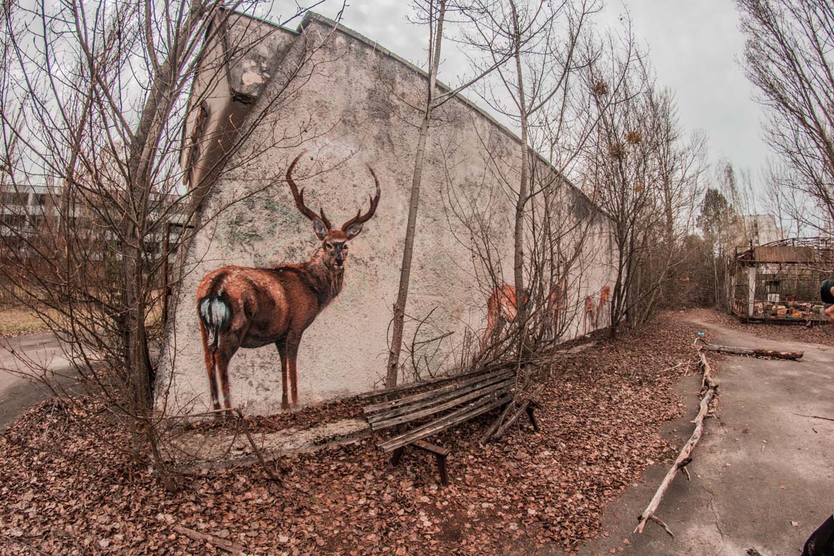 Рисунки в припяти на стенах