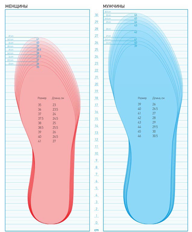 Размер ноги фото
