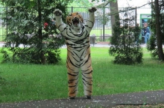 В Калининградском зоопарке прошли учения по отлову тигра 65c2b6c0f2e5335f78b6686bf0d35cf8