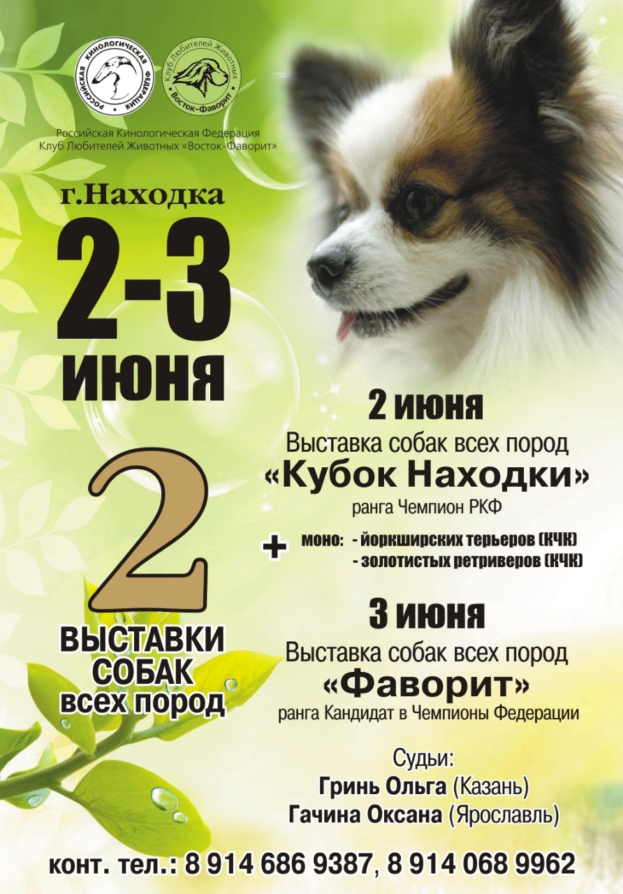 2-3 июня 2 выставки в г. Находка, ранг Ч РКФ и КЧФ