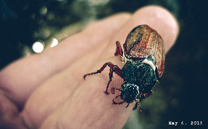 https://s8.hostingkartinok.com/uploads/images/2018/05/e062daa701d88c45f8a9ad0a703ec319.jpg