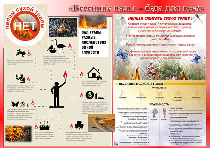 Презентация пал травы весной