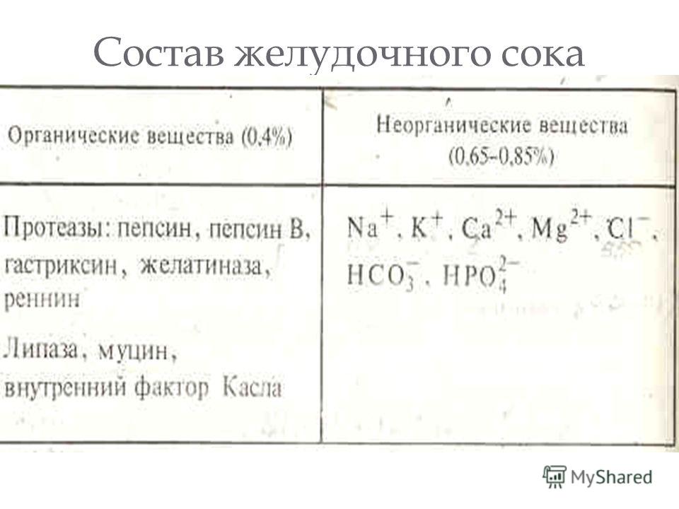 Состав желудочной кислоты