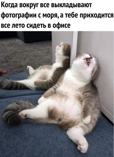 https://s8.hostingkartinok.com/uploads/images/2018/07/82c8d00127b3d58775c9a5ba7c74a229.jpg