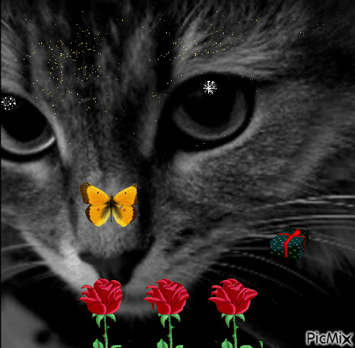 8a3b9fec4c8290da367952ca112d47cc.png