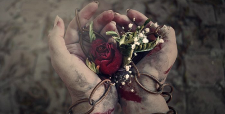 https://s8.hostingkartinok.com/uploads/images/2018/07/fc47415b8f0a57fec813d528309a7c4b.png
