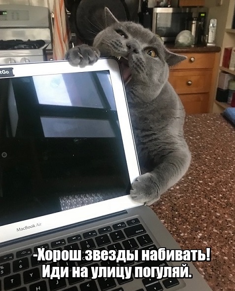 aa85a8b1bf0ba34169747251acc21f0e.jpg