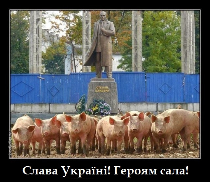 б.jpg