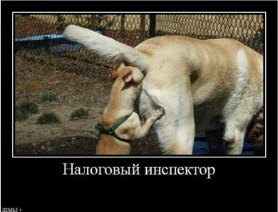 НАЛОГ.PNG