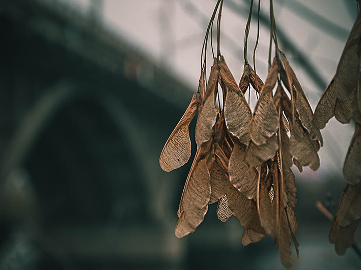 https://s8.hostingkartinok.com/uploads/images/2018/11/8ad756aba792e9ffd76d349af187ad04.jpg