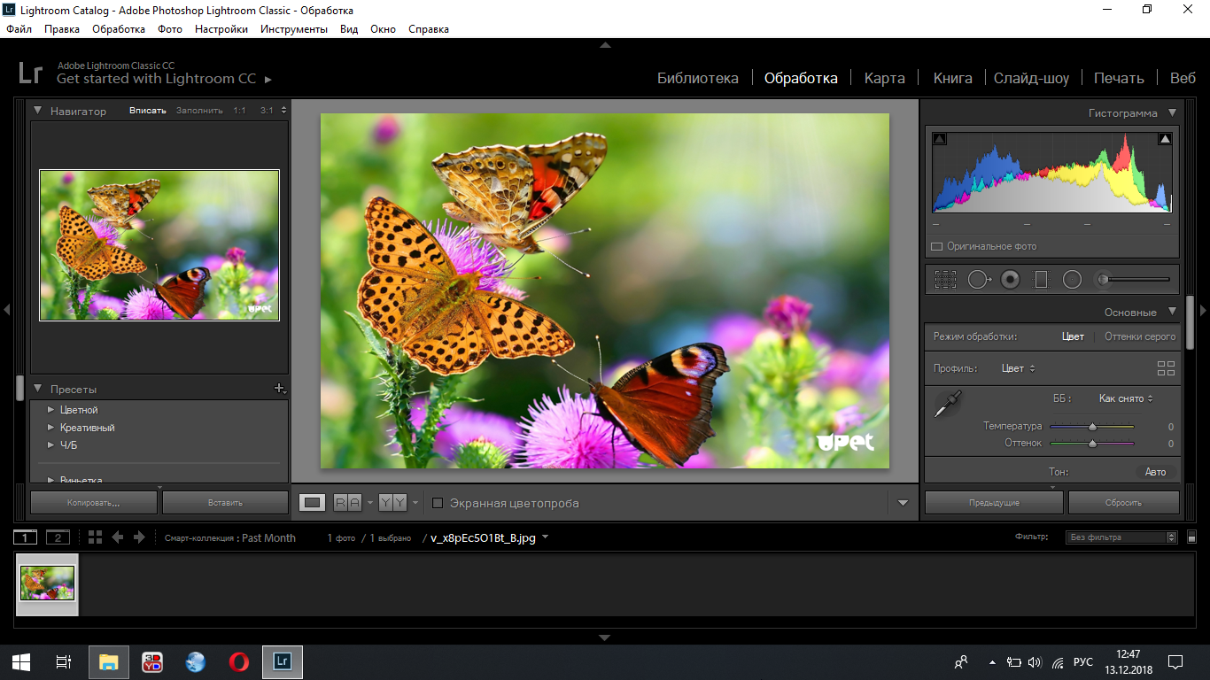Photoshop lightroom repack. Adobe photoshop lightroom classic. лайтрум классик 2025. adobe photoshop lightroom classic cc. adobe lightroom classic 2025.