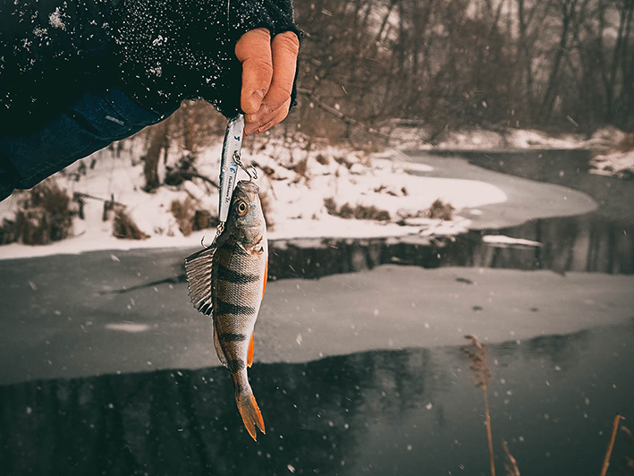 https://s8.hostingkartinok.com/uploads/images/2019/01/5d8468ae70f74fdecd1d7c936e04f552.jpg