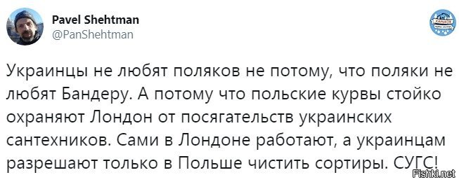 Поляки не любят русских. Поляки не любят украинцев. Украинцы любят Россию. Поляки любят украинцев. Украинцы любят русских.