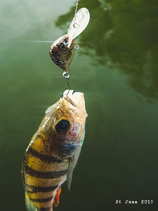 https://s8.hostingkartinok.com/uploads/images/2019/01/c11bc2eb9bf4db91f370407386661ebc.jpg