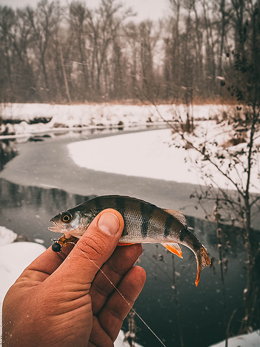 https://s8.hostingkartinok.com/uploads/images/2019/01/c5bdc814479120da88a3e54fd8502ef0.jpg