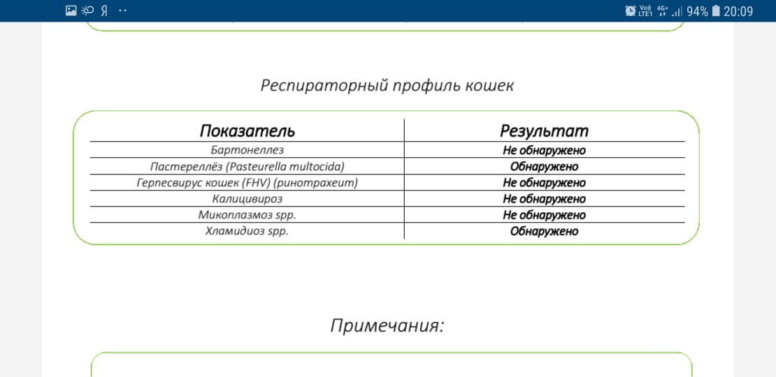 Пцр респираторный профиль кошки. Пцр сущность метода. Пцр респираторный профиль. Пцр с обратной транскрипцией. Пцр респираторный профиль.