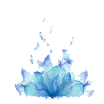 https://s8.hostingkartinok.com/uploads/images/2019/02/70a061df8e8a3993bf32cb650d6e3d3c.png