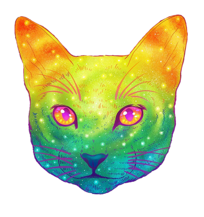 Морда кошки рисунок цветной