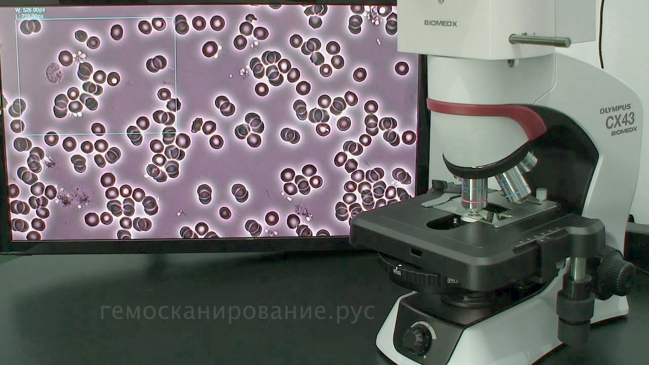 https://s8.hostingkartinok.com/uploads/images/2019/03/1875ea3c111a9ac97100d1669e1e8017
