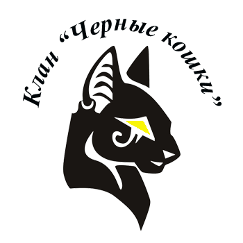 a5676f07f583baf9679303b3ce3558c2.png