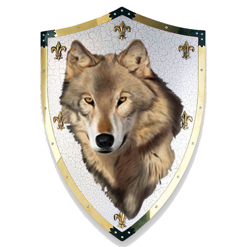 aaa6f2b39ba4189f4275fcb45edd893e.png