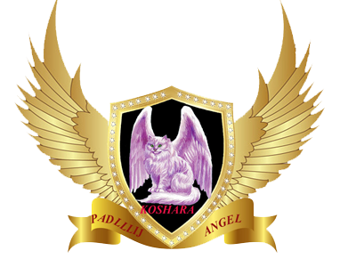 b3dd685429116dbe2dec2c419c07e4e9.png
