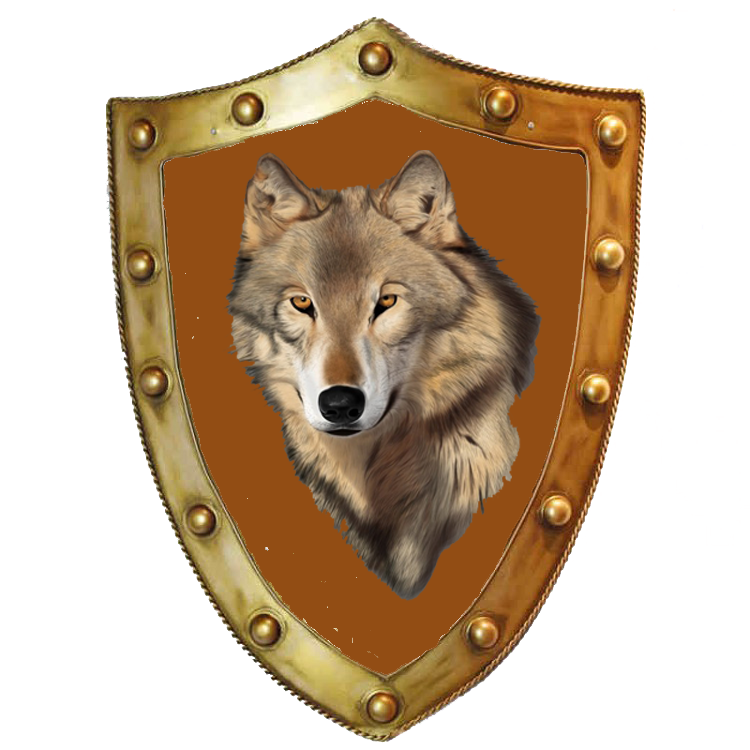 c16c0fc4c5561a8a8250e5694d035d7a.png