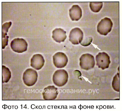 https://s8.hostingkartinok.com/uploads/images/2019/03/d6bd308020cd8f83ecdc82638feec6d1