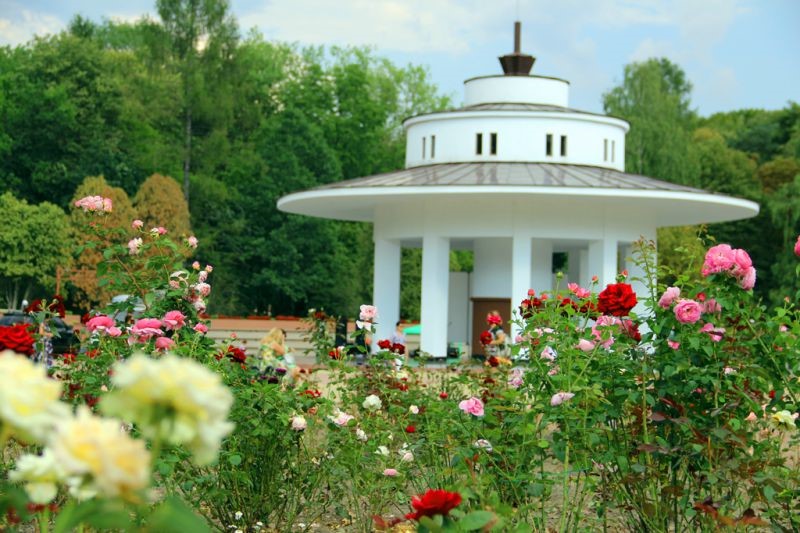 Отдіх в Моршине