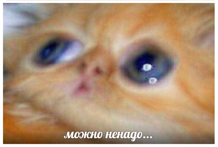3b8cb4da58dd5fd2e95d33c8812c423a.jpg