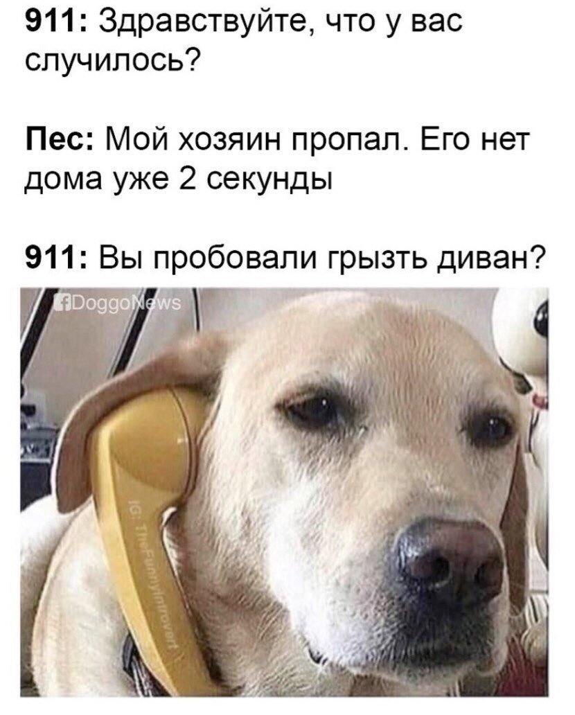 dfa128e89e81c97d52bc438b297b4b65.jpg