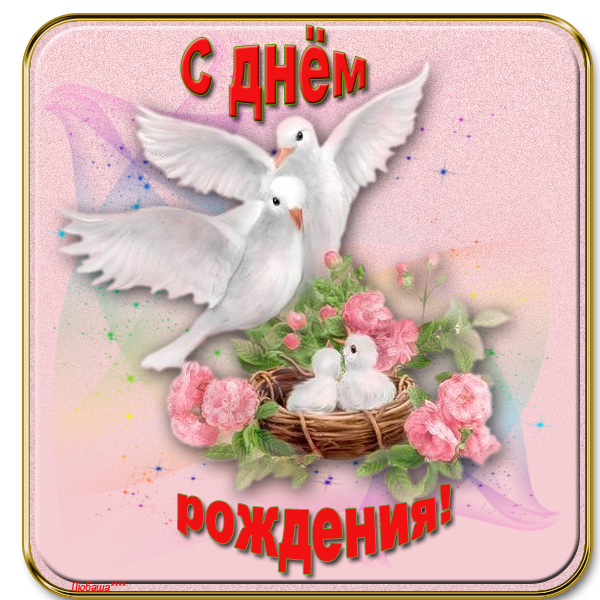 � ���� ��������.png