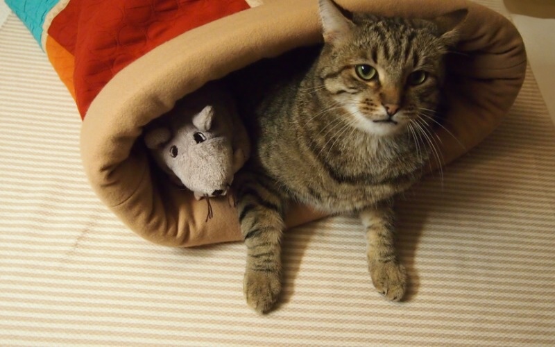 Лежанка для кошки