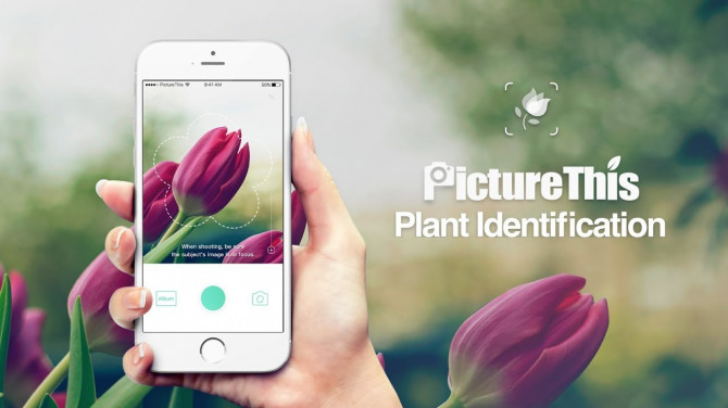 PictureThis - Flower & Plant Identification 1.14.1 Premium [Android]