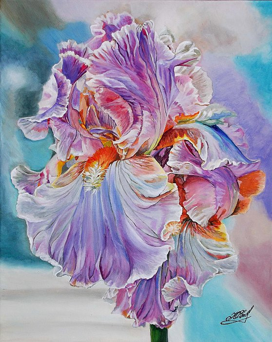 iris.jpg