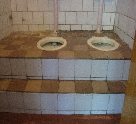 Подиум для унитаза. Подиум для туалета. Подиум для туалета в квартире. Подиум в туалете для унитаза. Подиум в деревянном туалете.