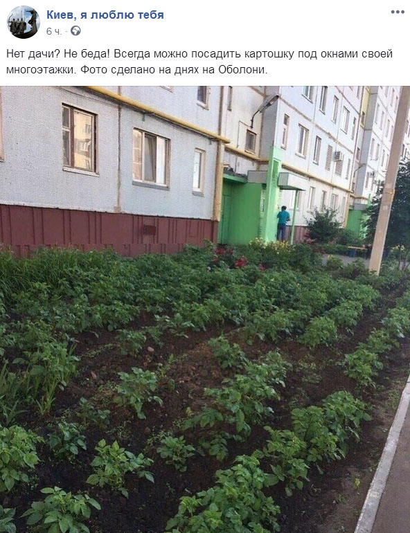 Yes