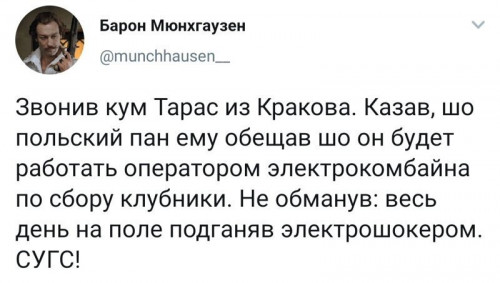 uzunwqypklw.jpg