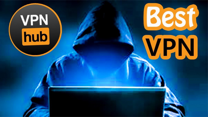 VPNhub Best VPN & Proxy - Protect Privacy 3.3.2 Pro Lite (Android)