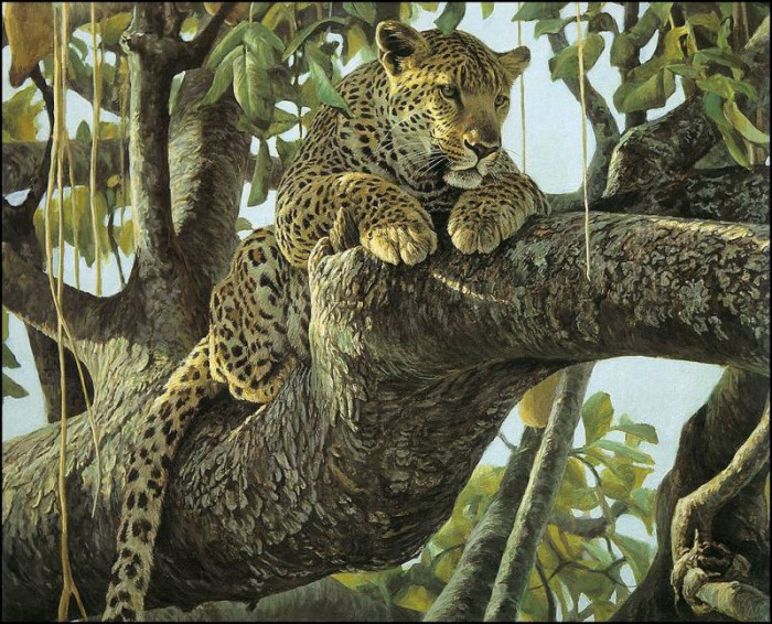 lrsbatemanrobert-leopardinsausagetree-artfond.jpg