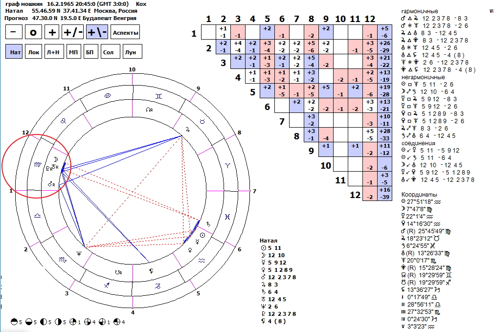Астропроцессор шустина натальная карта